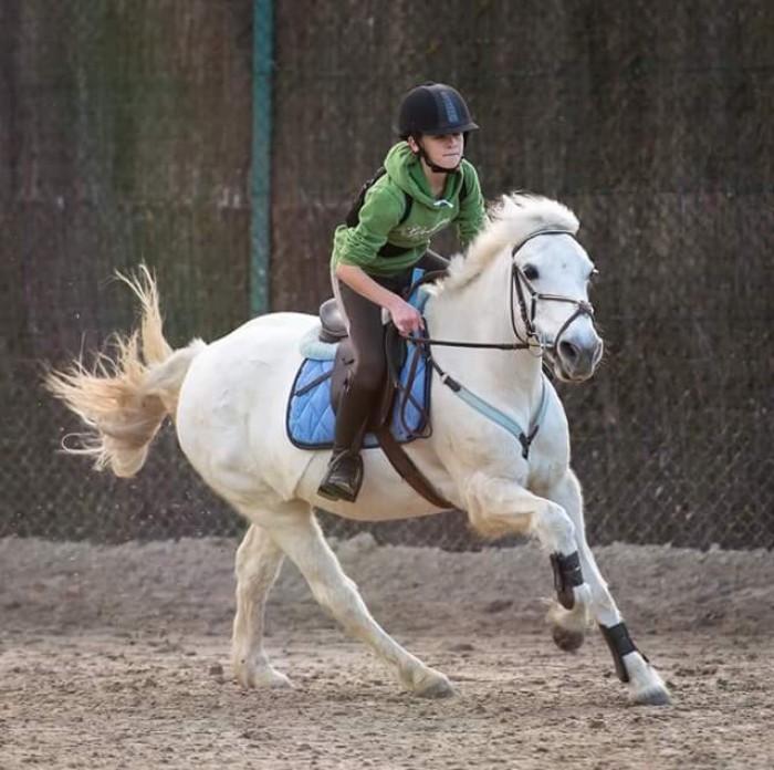 Photo de profil de leledu22