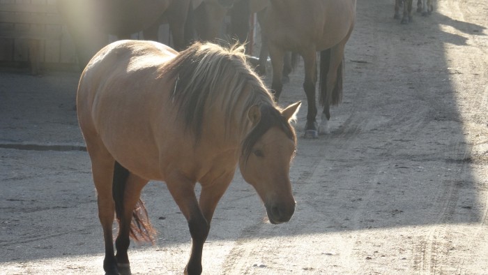 Photo de profil de lenapepita