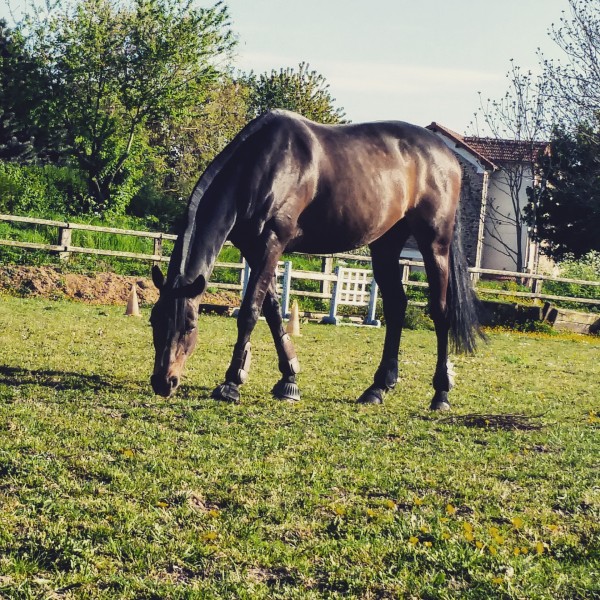 Photo de profil de leslii16