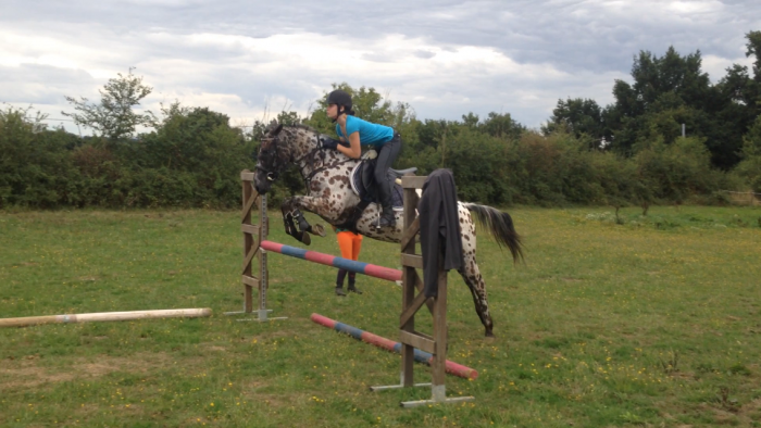 Photo de profil de lfvrmargaux