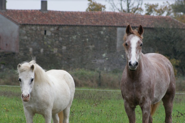Photo de profil de libanouxx