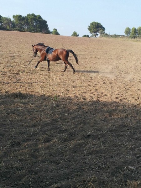 Photo de profil de liftdufreney