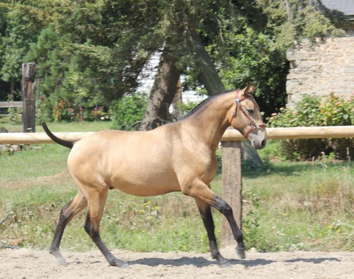 Photo de profil de lightkingdom