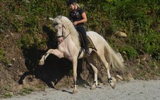 Photo de profil de liixou