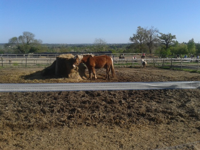 Photo de profil de lili111