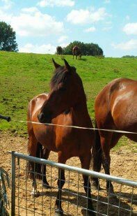 Photo de profil de lili59114