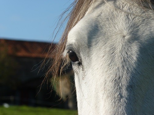 Photo de profil de lili79380