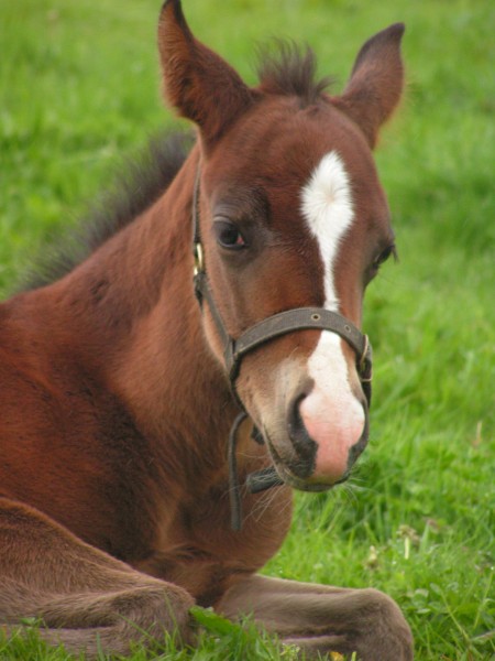 Photo de profil de lilou151622