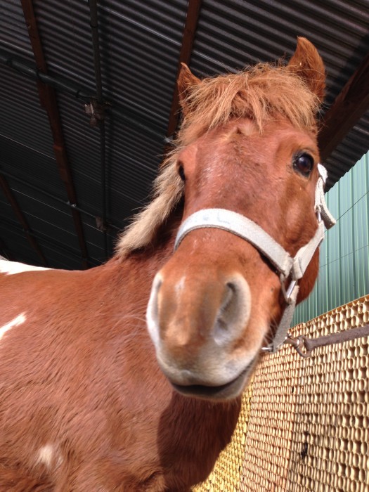 Photo de profil de lilouslo