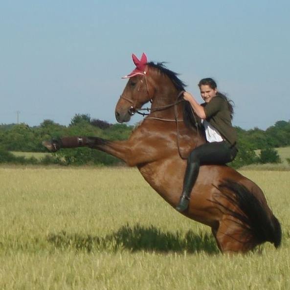Photo de profil de liloute9596
