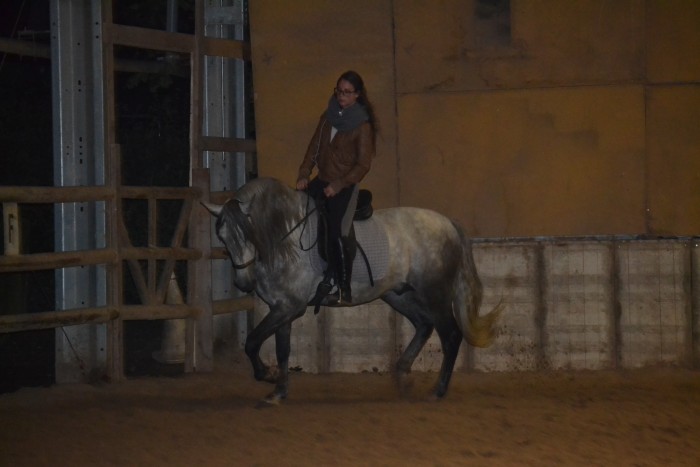 Photo de profil de lily.b