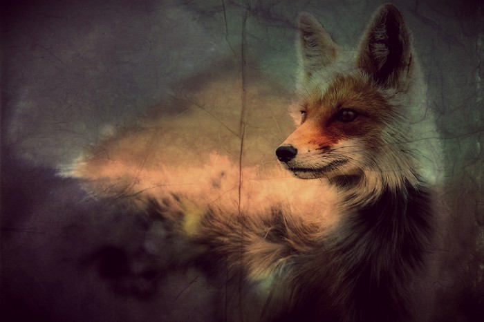 Photo de profil de lindwina