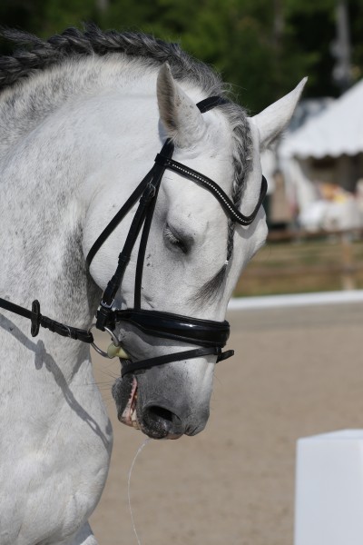 Photo de profil de lipton22