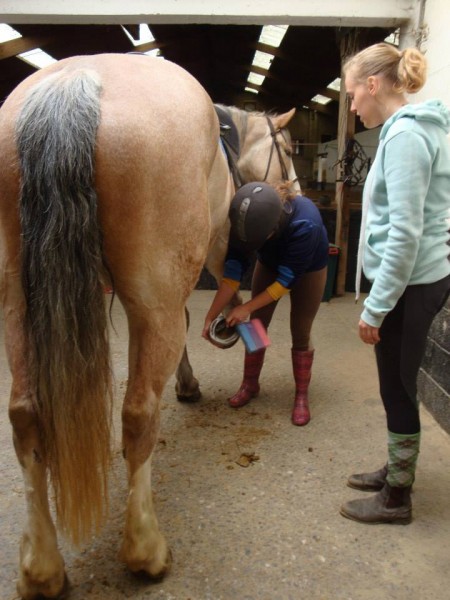 Photo de profil de lisa_stef