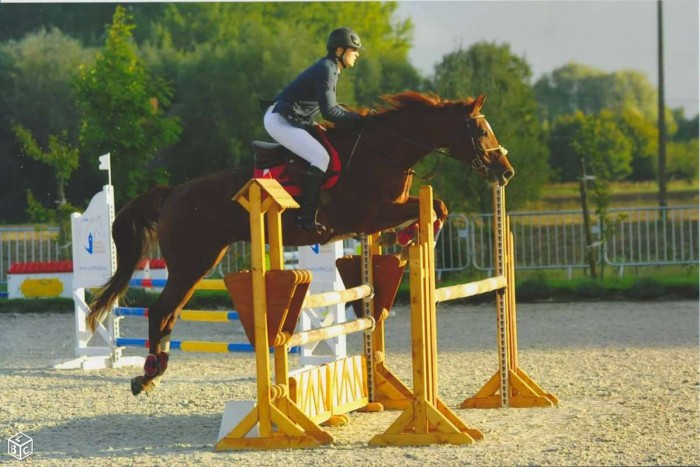 Photo de profil de livia62138