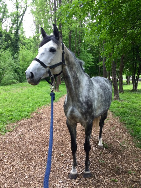 Photo de profil de lizee