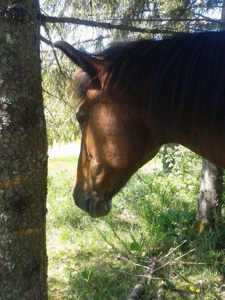 Photo de profil de lm2585