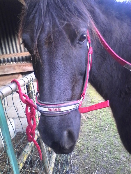 Photo de profil de lolau0208