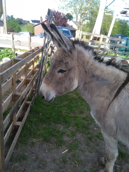 Photo de profil de lolitta17