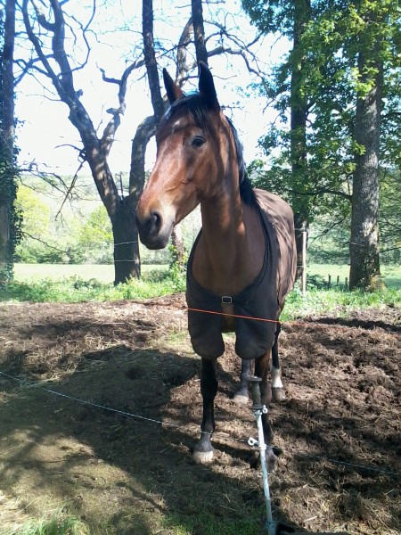 Photo de profil de lolo6.11