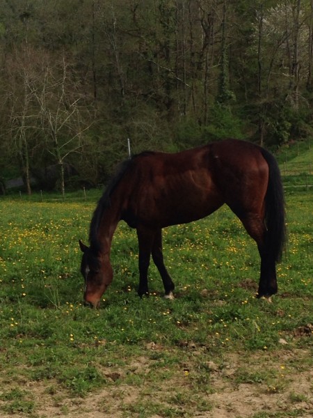 Photo de profil de lolote64