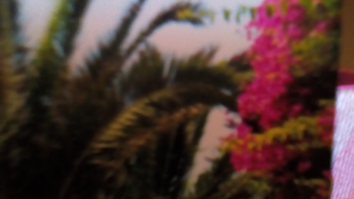 Photo de profil de louiseaimecheva