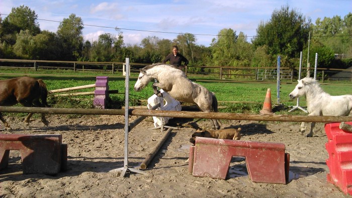 Photo de profil de louiselabrevois