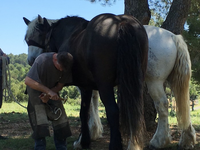 Photo de profil de loulou11160