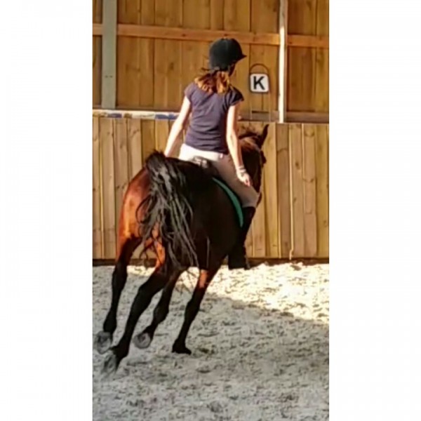 Photo de profil de loulou.14