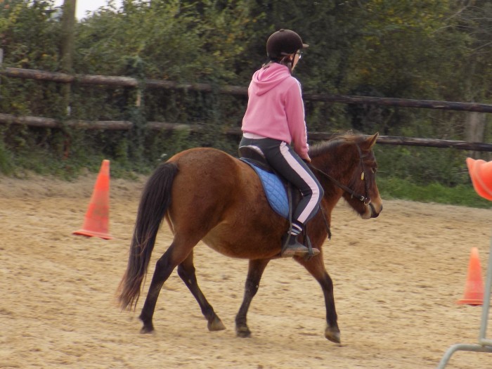 Photo de profil de louloulamouche