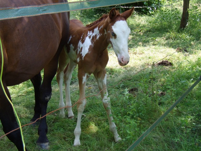 Photo de profil de louloute1708