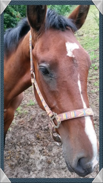 Photo de profil de loun4810