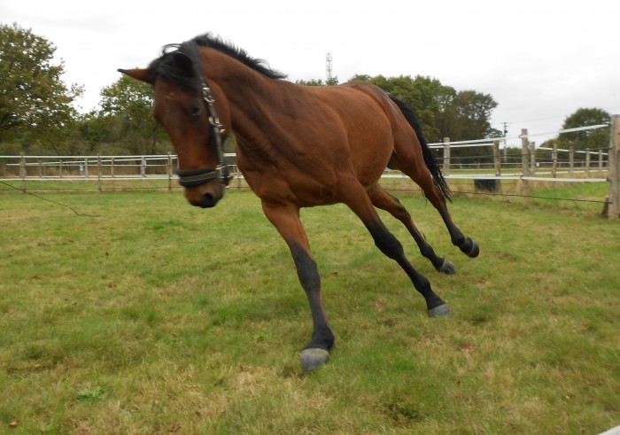 Photo de profil de lowra49