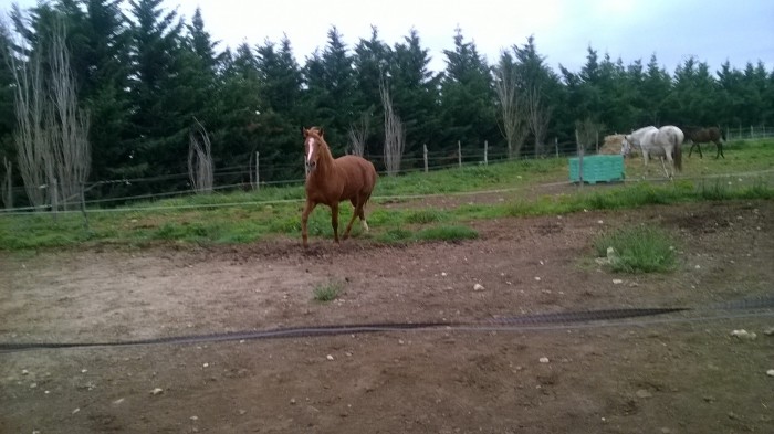 Photo de profil de lpha