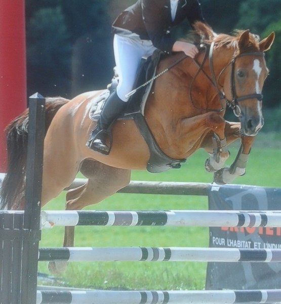 Photo de profil de ltoussaint