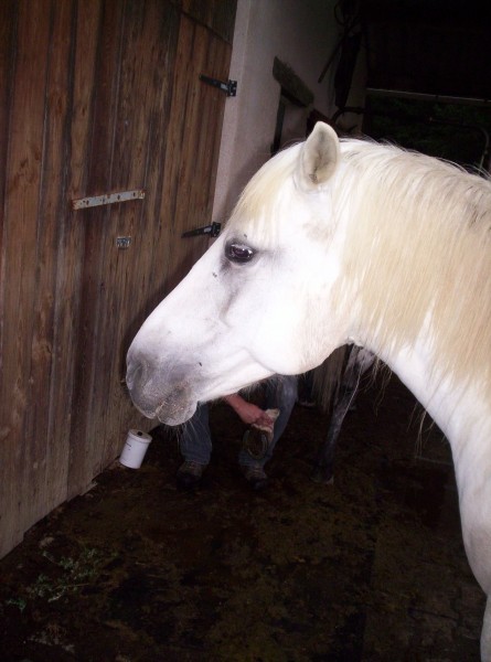 Photo de profil de luc.84