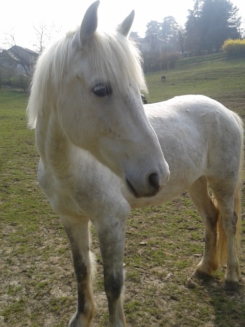 Photo de profil de lucie73000