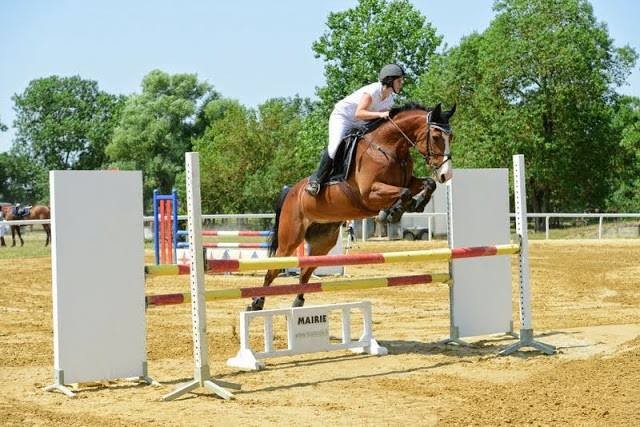 Photo de profil de lucie.grx