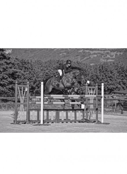 Photo de profil de lucile_clem