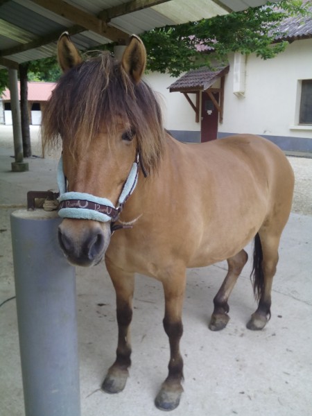 Photo de profil de lucille38