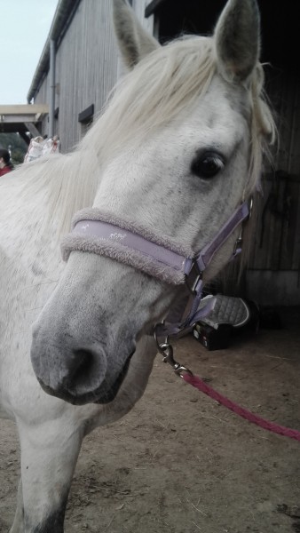 Photo de profil de lucillexmoka