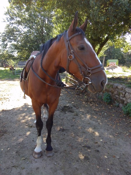 Photo de profil de ludi.19