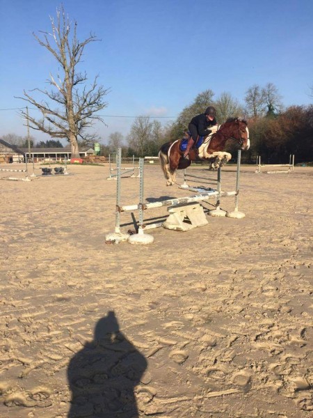 Photo de profil de ludivineavenel