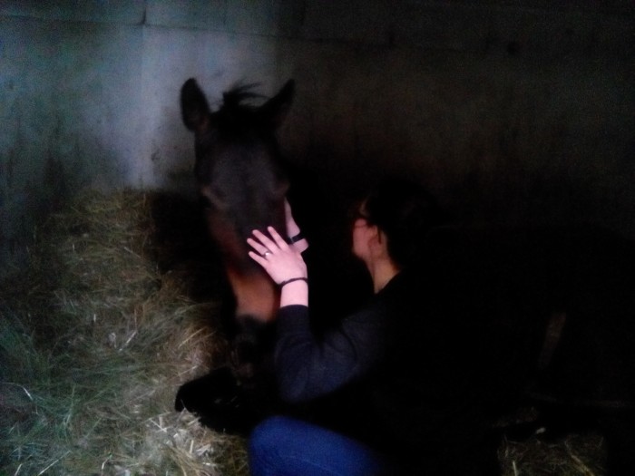 Photo de profil de lugase