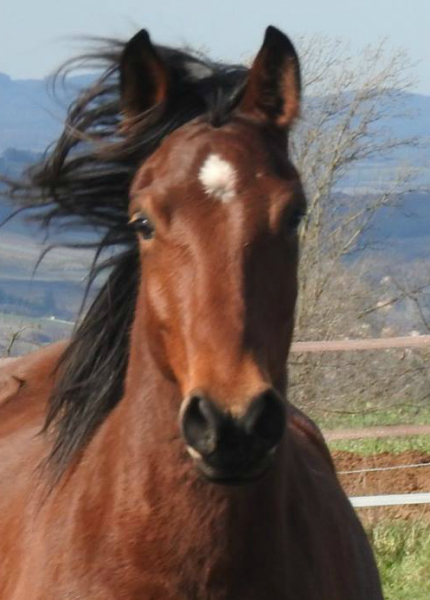 Photo de profil de lumipiachi