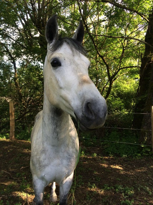 Photo de profil de luna200931