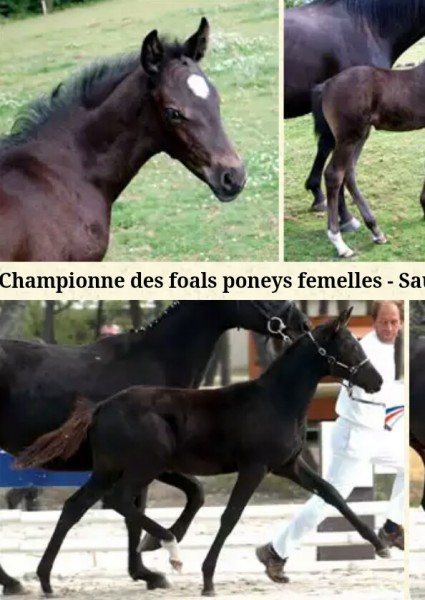 Photo de profil de lvirgi