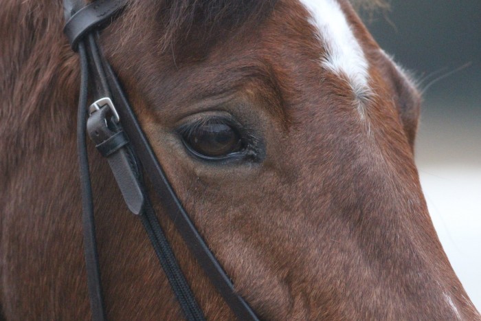 Photo de profil de lysaa.az