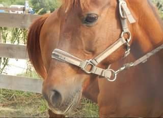 Photo de profil de madisonlaouda