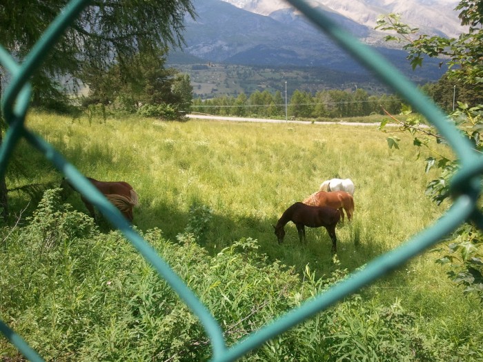 Photo de profil de mae13300